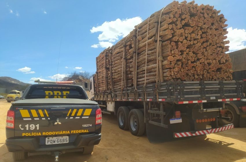  PRF apreende 67 metros cúbicos de madeira irregular em Salgueiro – G1