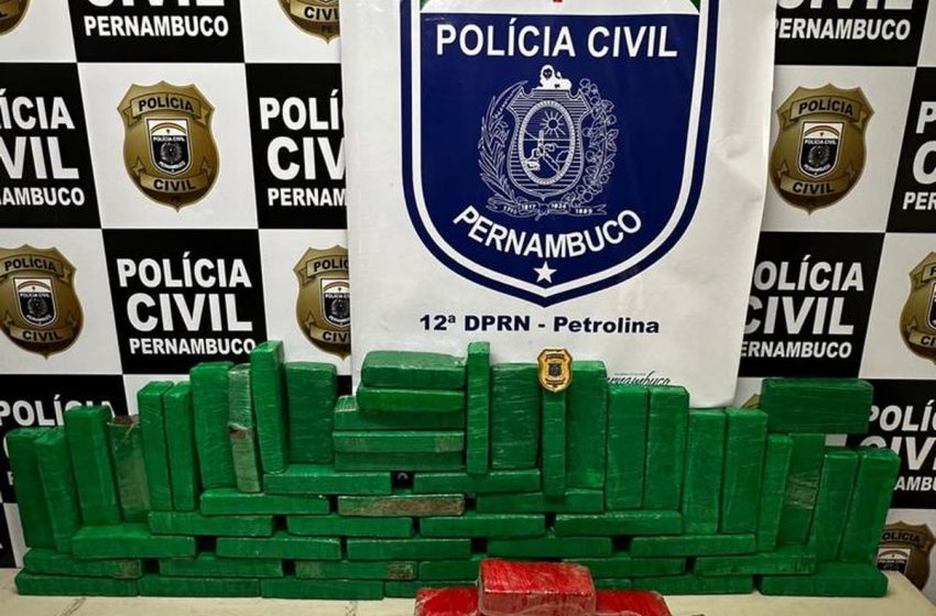  Mulher é presa em Petrolina com 45 kg de maconha – G1